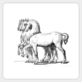 Classic and monumental artistic horses Sticker